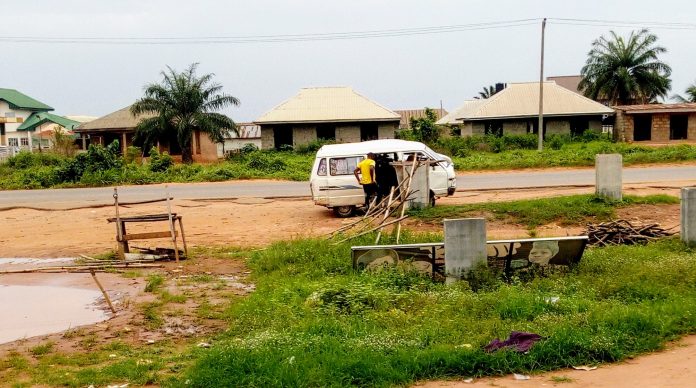 edo taskforce